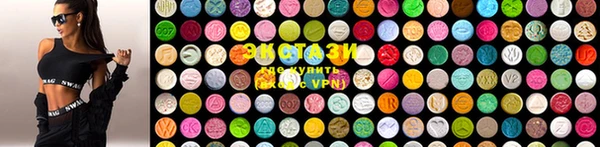шишки Бородино