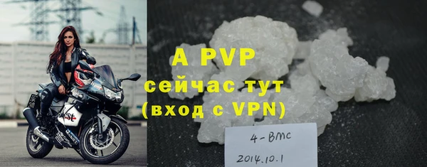PSILOCYBIN Верхний Тагил