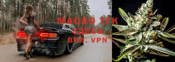 шишки Бородино
