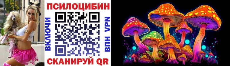 Псилоцибиновые грибы MAGIC MUSHROOMS  купить   Петровск-Забайкальский 